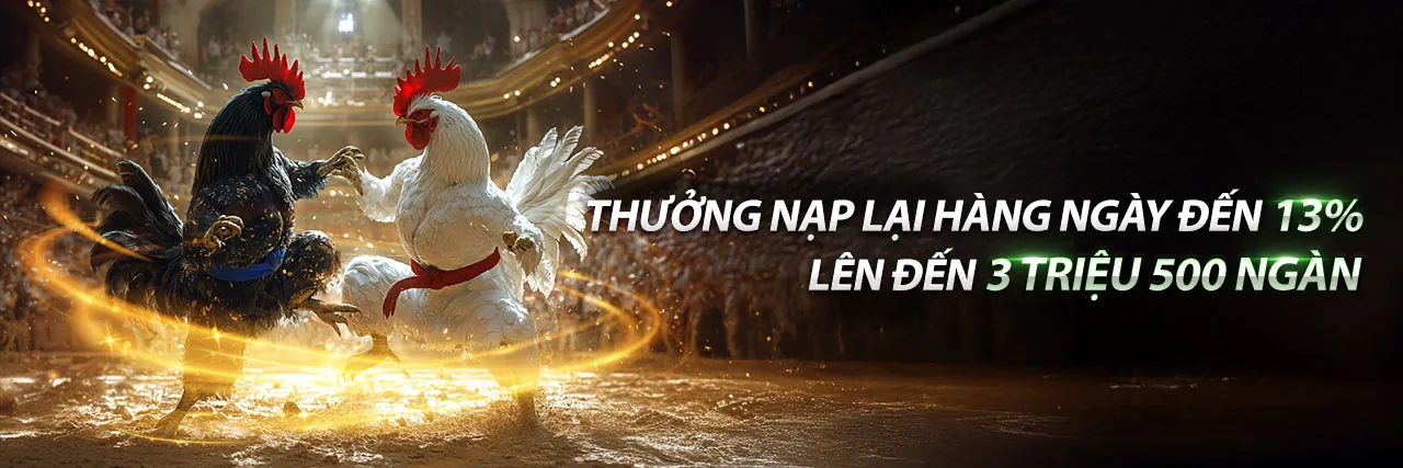 Tin tức b66 mới nhất, cập nhật sự kiện và khuyến mãi 2026